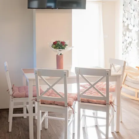 Rona Fenye Vendeghaz Vilă Sándorfalva